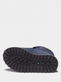 Ботинки Timberland Pokey Pine модель TB0A2H1M019 Фото