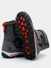 Сапоги Timberland Chillberg 2 Strap Gtx модель TB0A28C2033 Фото
