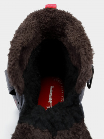 Сапоги Timberland Chillberg 2 Strap Gtx модель TB0A28C2033 Фото