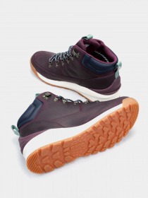 Ботинки The North Face Back-to-Berkeley модель NF0A4AZFV591 Фото