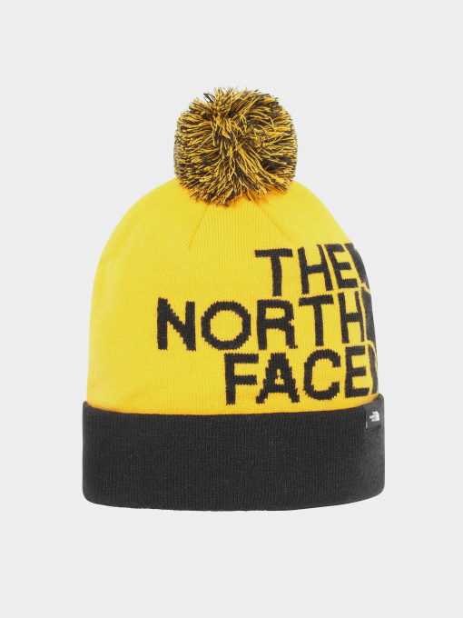 Шапка The North Face Ski Tuke модель NF0A4SIEZU31 Фото