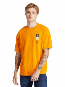 Футболки і поло Timberland EK+ модель TB0A2CNU804 Фото