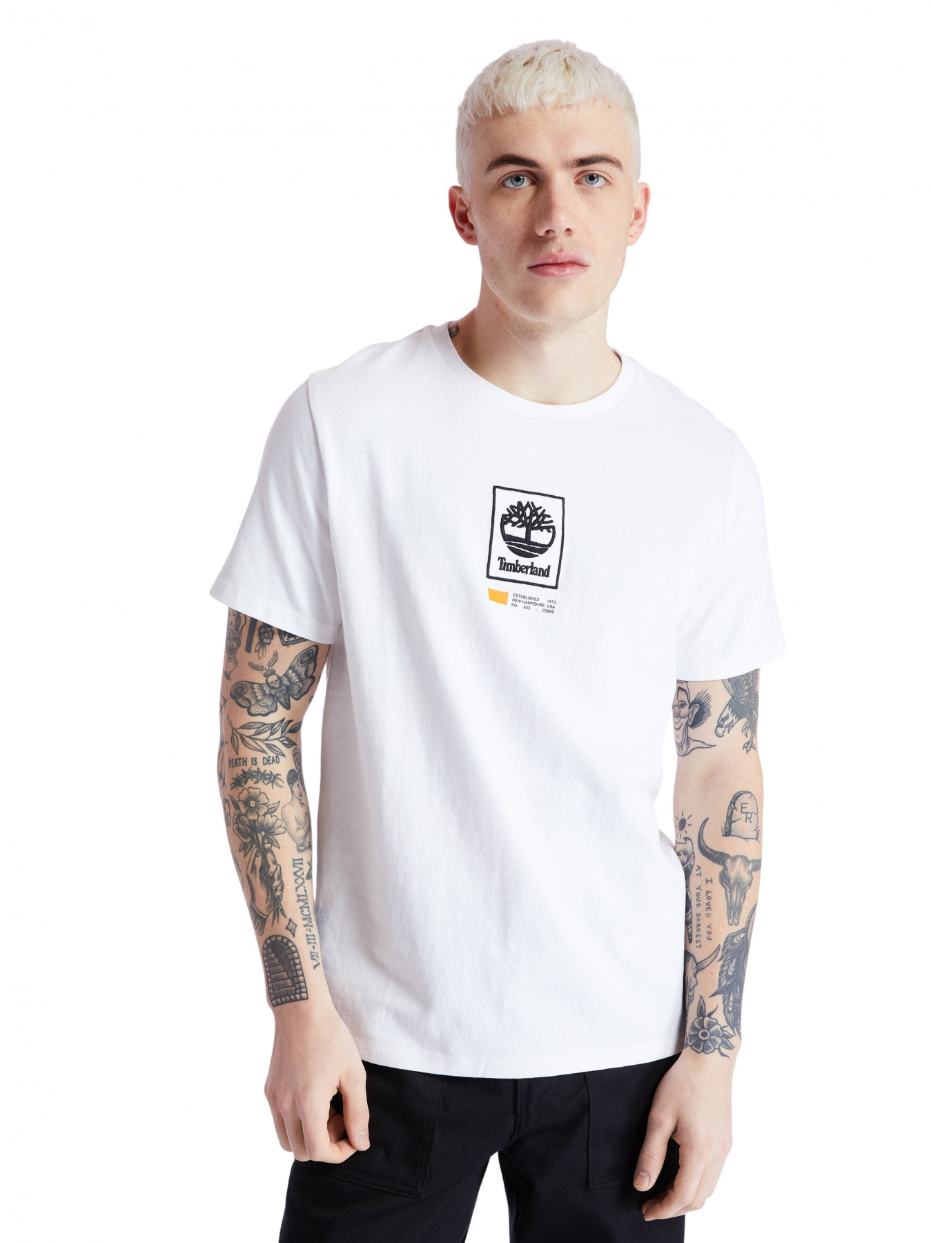 Футболки и поло Timberland Square Tree Logo модель TB0A2AHR100 Фото