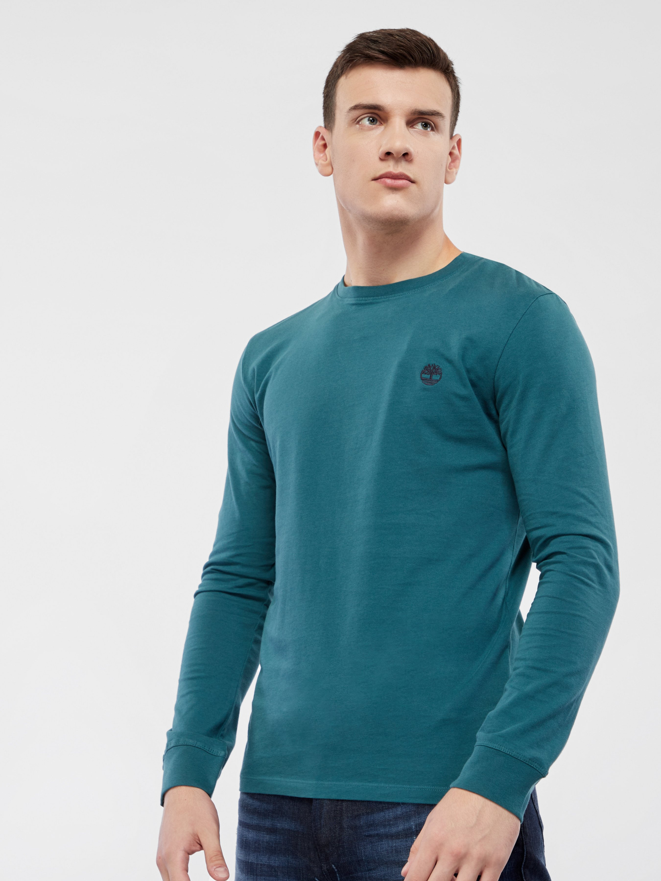 Реглан Timberland Exeter River модель TB0A2BQ3AK1 Фото