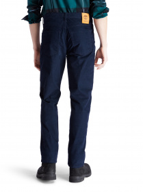 Брюки повседневные Timberland Squam Lake Corduroy модель TB0A2C4Z43334 Фото