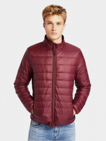 Демісезонна куртка Timberland Mt. Eastman Quilted модель TB0A29V3I30 Фото