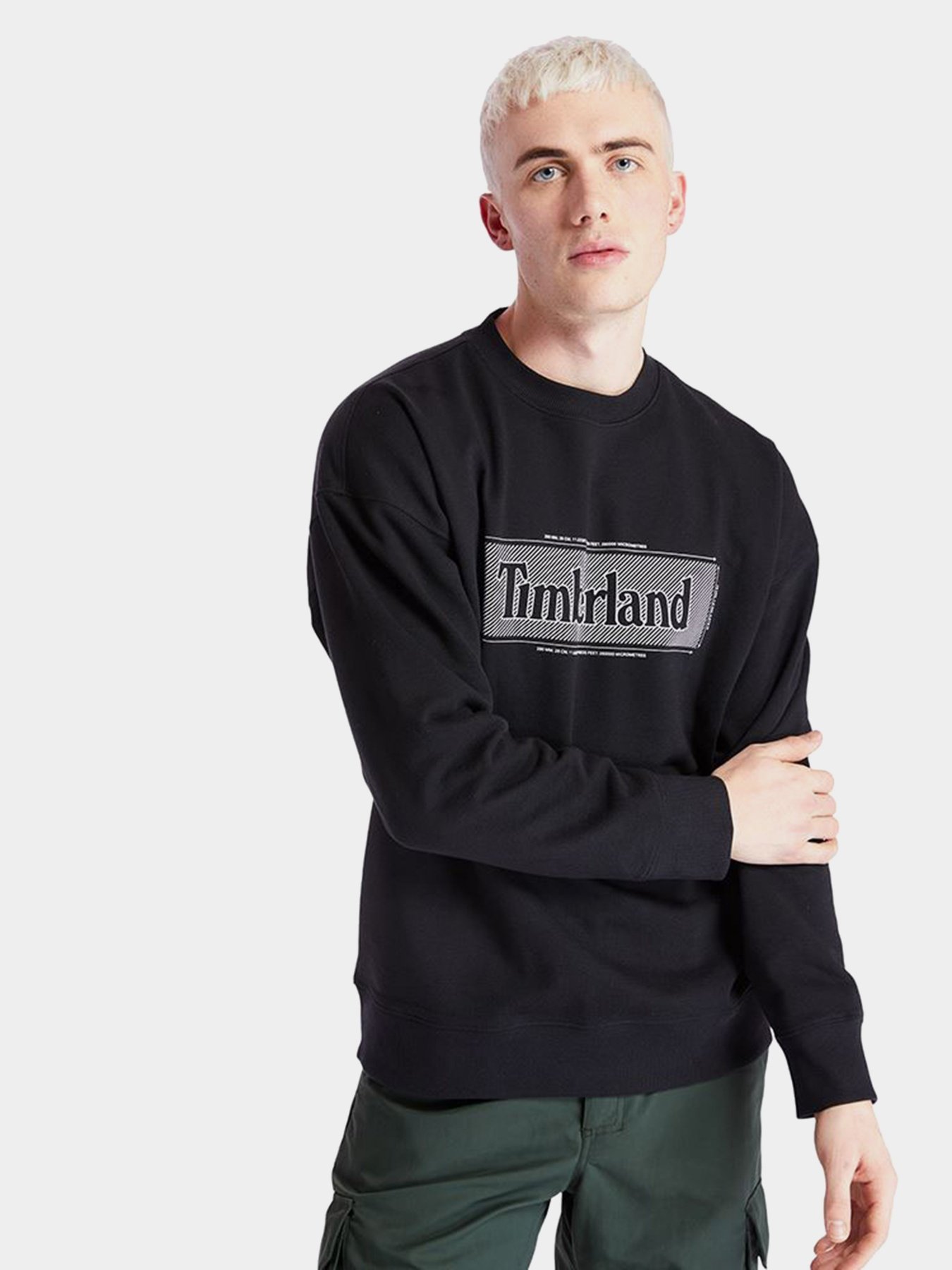 Свитшот Timberland Logo Crewneck модель TB0A2A14001 Фото
