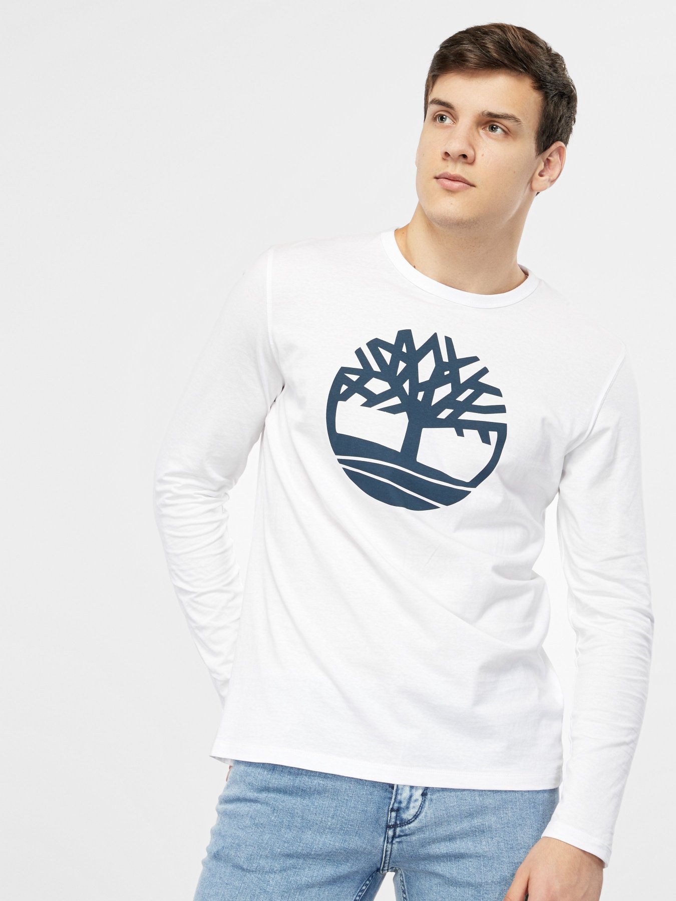 Реглан Timberland Core Tree Logo модель TB0A2C6U100 Фото