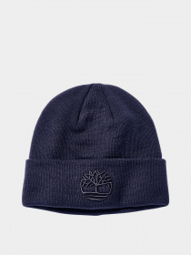 Шапка Timberland Tonal 3D Embroidery модель TB0A1F3N451 Фото