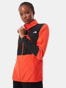 Кофта The North Face DIABLO POLAR модель NF0A4SVSSH91 Фото