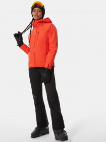 Брюки The North Face LENADO модель NF0A4R1IJK31 Фото