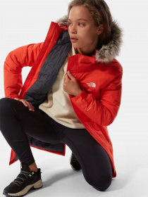 Парка The North Face Zaneck модель NF0A4M8YR151 Фото