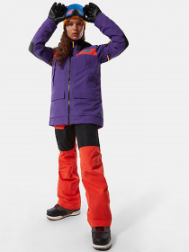 Горнолыжная куртка The North Face Team Kit модель NF0A4R1FU741 Фото