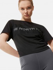 Футболки и поло The North Face Mesh модель NF0A4SW3JK31 Футболки и поло The North Face Mesh модель NF0A4SW3JK31 Фото