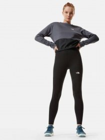 Спортивні леггінси The North Face TRAIN модель NF0A4SW5JK31 Спортивні леггінси The North Face TRAIN модель NF0A4SW5JK31 Фото