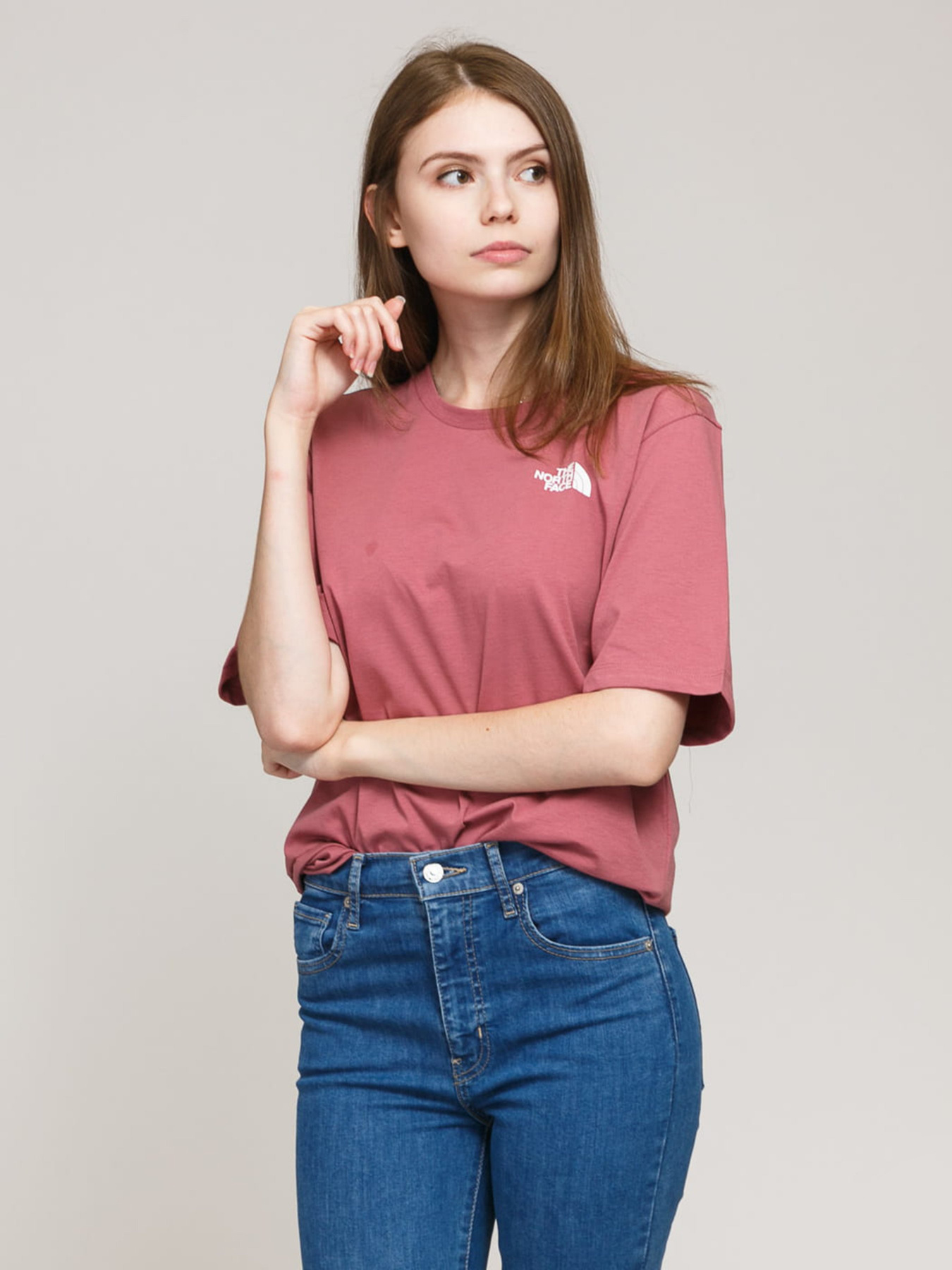 Футболки и поло The North Face S/S Fine Alpine Equipment модель NF0A4CESRN21 Фото