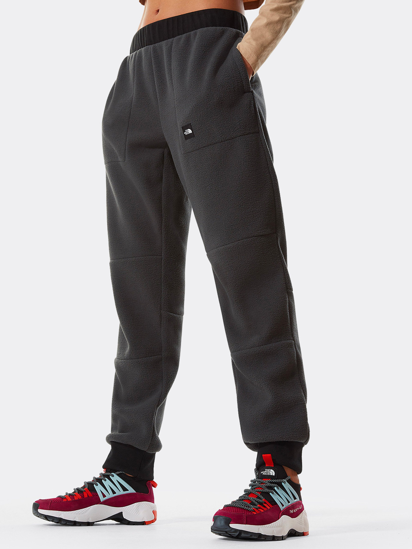 Повседневные штаны The North Face Logo Patch Detail модель NF0A4M7J0C51 Фото