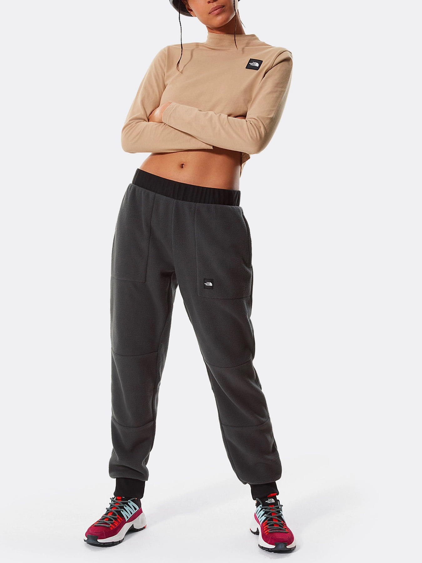 Повседневные штаны The North Face Logo Patch Detail модель NF0A4M7J0C51 Фото