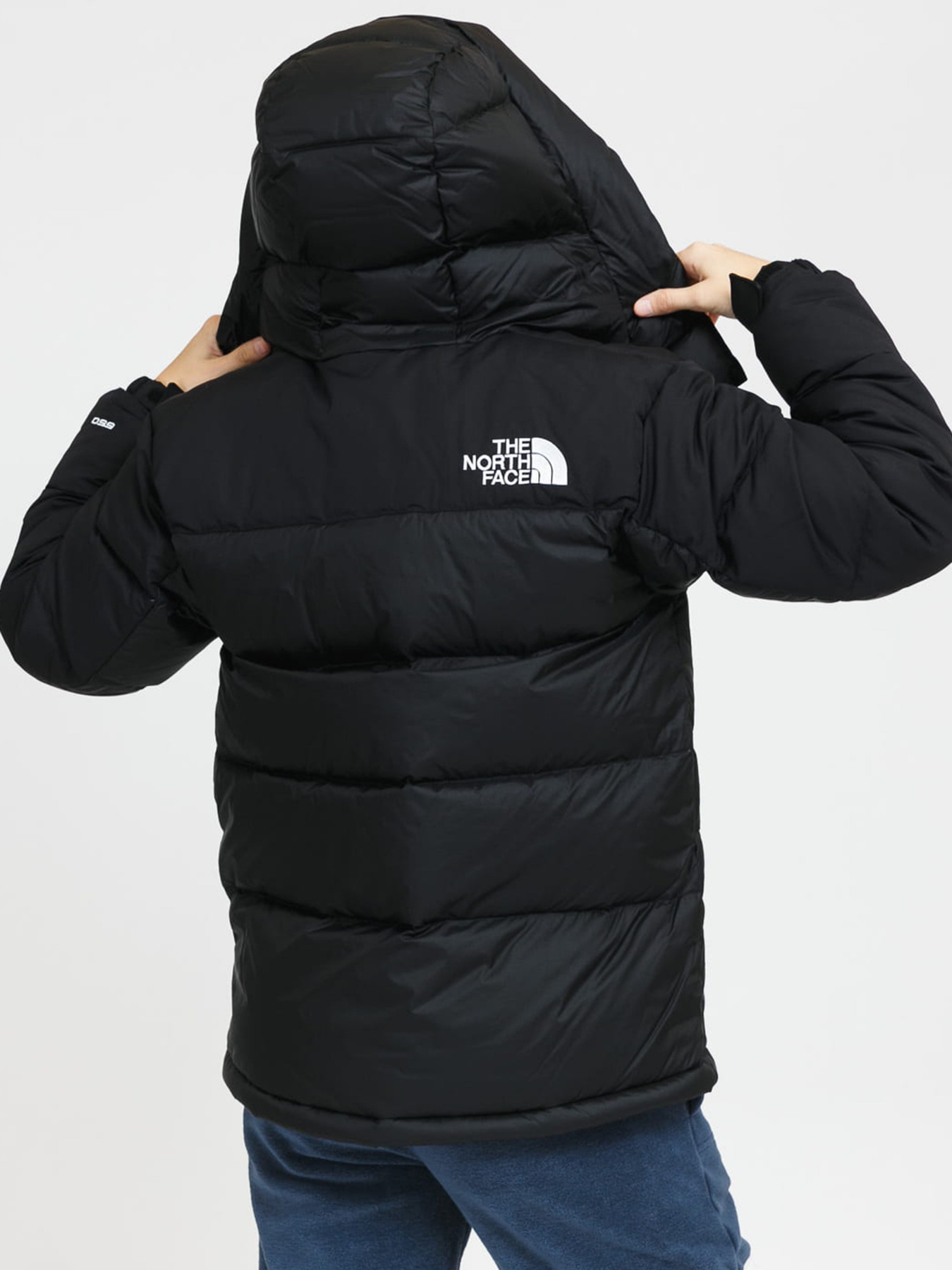Зимняя куртка The North Face Hmlyn модель NF0A4R2WJK31 Фото