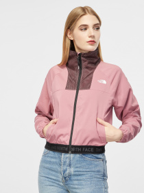 Ветровка The North Face Wind Mesh модель NF0A4SVORN21 Фото