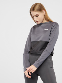 Світшот The North Face TRAIN N LOGO CROPPED модель NF0A4SVZ1741 Фото