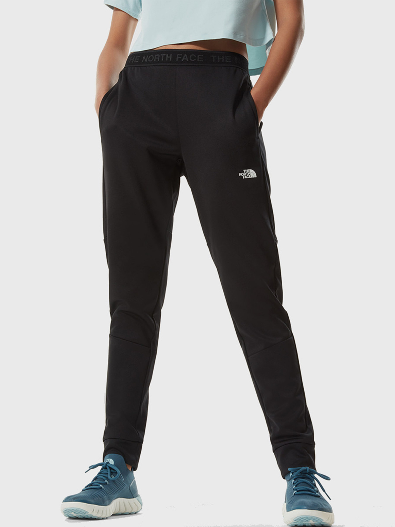 Повседневные штаны The North Face TRAIN модель NF0A4SW2JK31 Фото