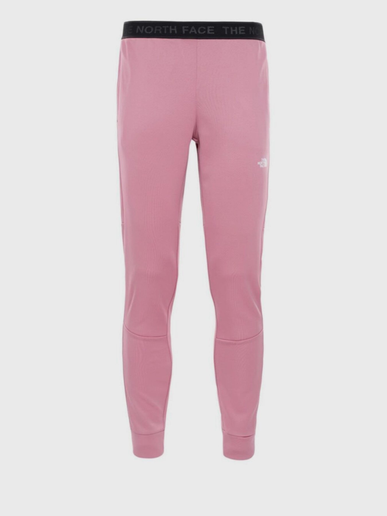 Брюки повседневные The North Face TRAIN модель NF0A4SW2RN21 Фото