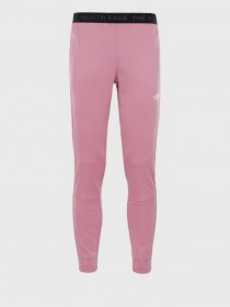 Брюки повседневные The North Face TRAIN модель NF0A4SW2RN21 Фото