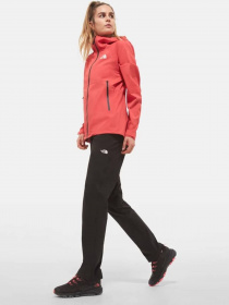 Штаны спортивные The North Face Speedlight модель NF00A8SJKY41 Фото