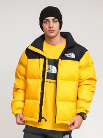 Зимняя куртка The North Face 1996 Retro Nuptse модель NF0A3C8D56P1 Фото
