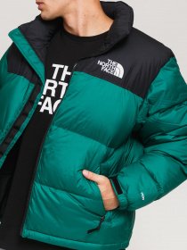 Пуховик The North Face 1996 Retro Nuptse модель NF0A3C8DNL11 Фото