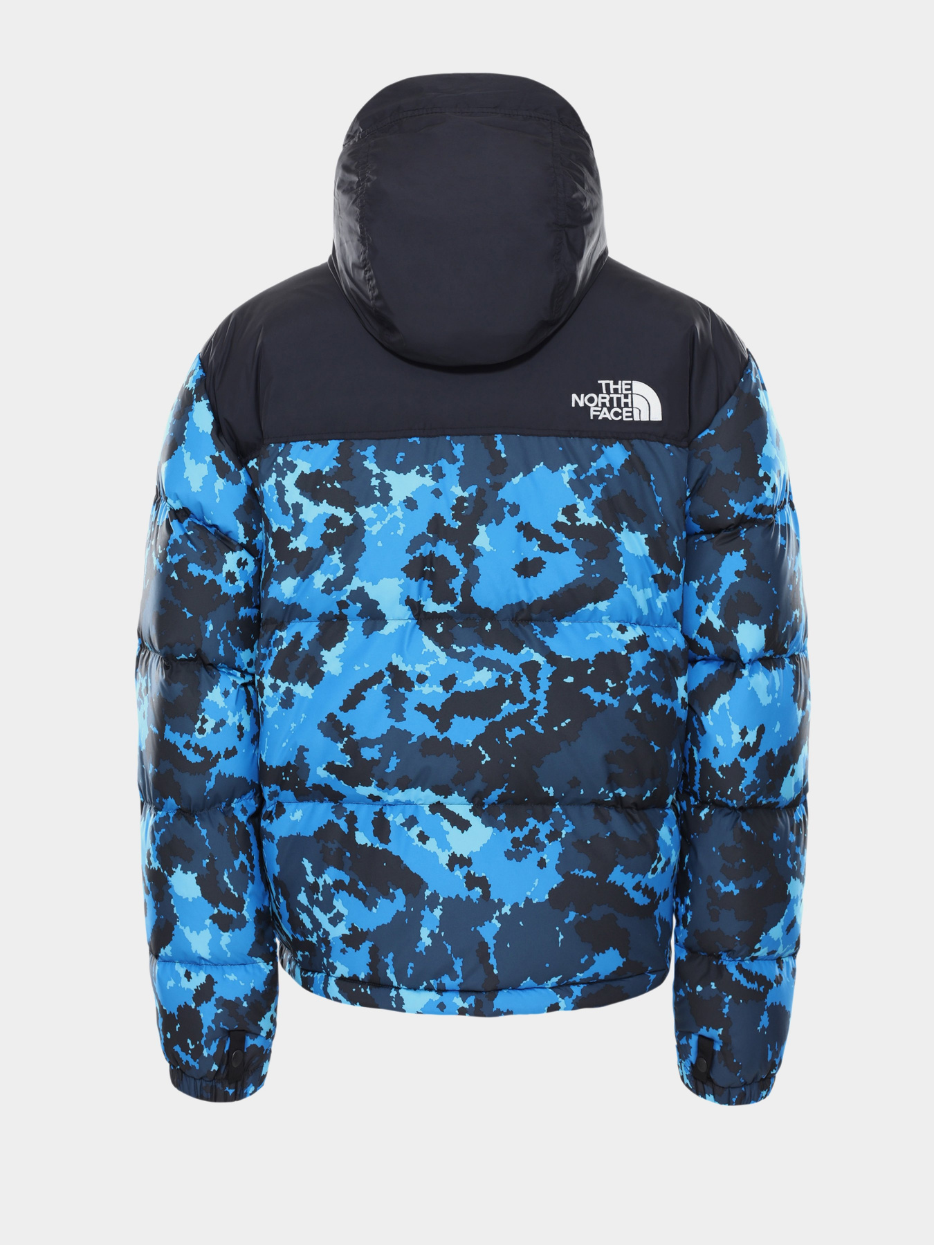 Зимняя куртка The North Face 1996 Retro Nuptse модель NF0A3C8DTPZ1 Фото