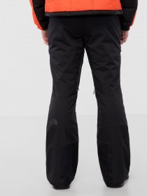 Лыжные штаны The North Face Chakal модель NF0A4QXGJK31 Фото