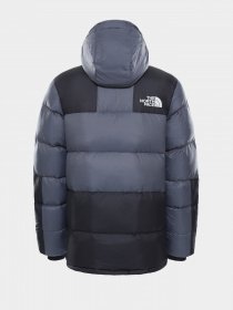 Пуховик The North Face Deptford Down модель NF0A3MJLF9L1 Фото