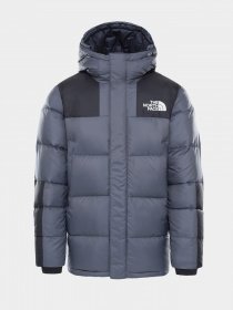 Пуховик The North Face Deptford Down модель NF0A3MJLF9L1 Пуховик The North Face Deptford Down модель NF0A3MJLF9L1 Фото