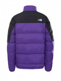 Куртка The North Face Diablo модель NF0A4M9JS961 Фото