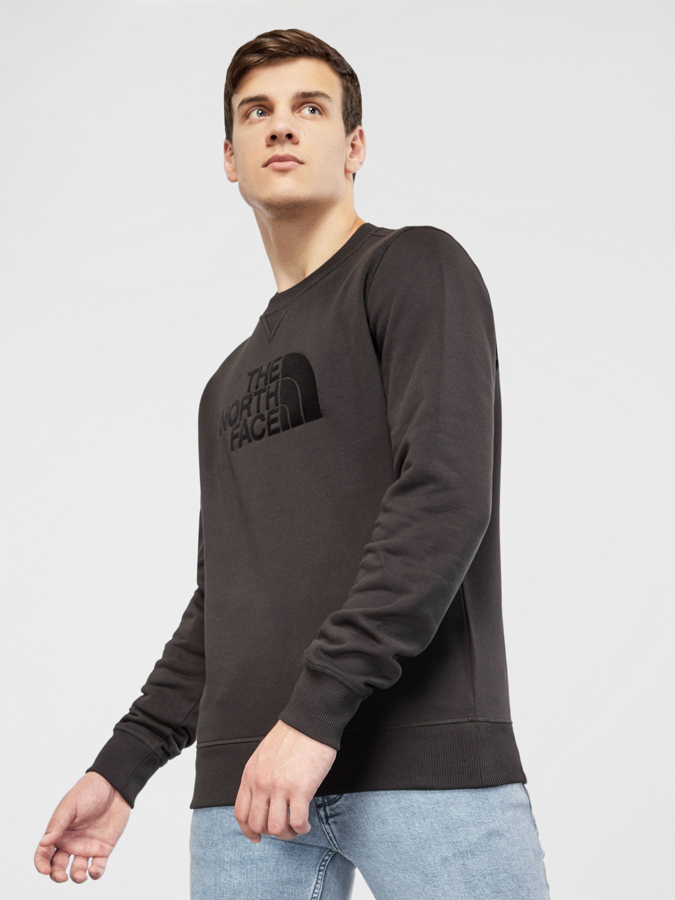 Свитшот The North Face Drew Peak модель NF0A4SVRJK31 Фото