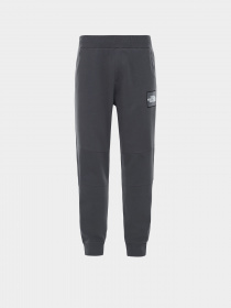 Штани The North Face Fine  модель NF0A3BPO03B1 Фото
