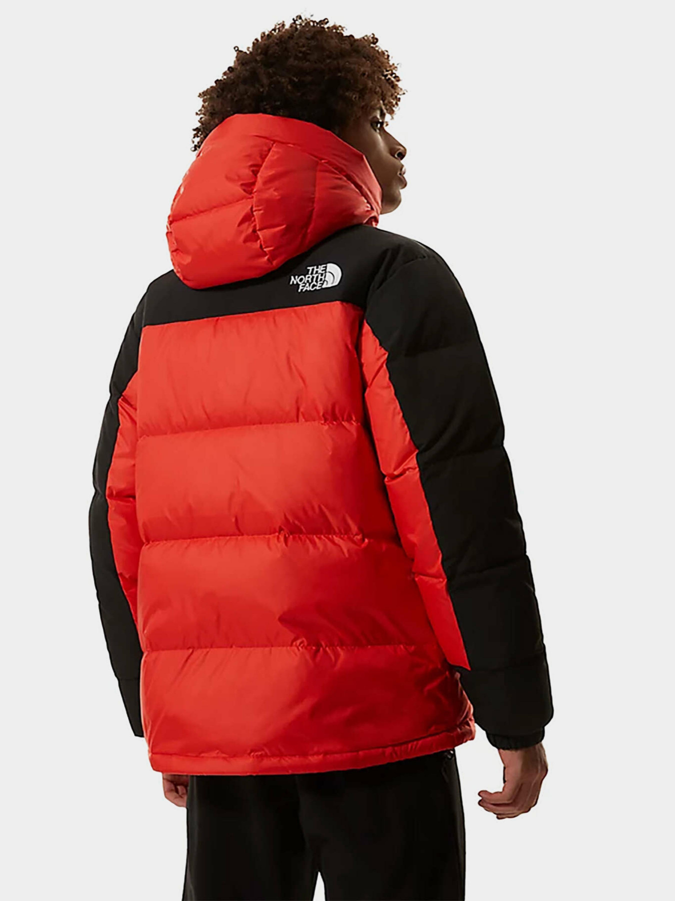 Зимняя куртка The North Face Himalayan модель NF0A4QYXR151 Фото