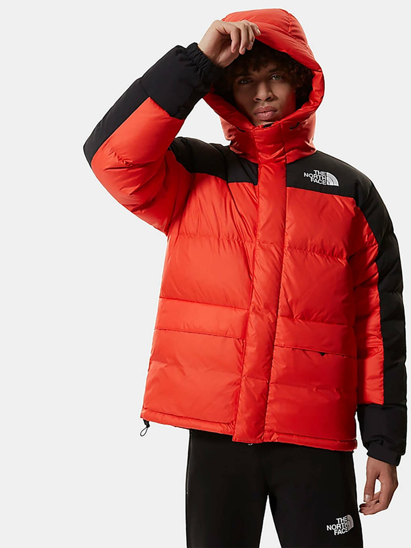 Зимняя куртка The North Face Himalayan модель NF0A4QYXR151 Фото