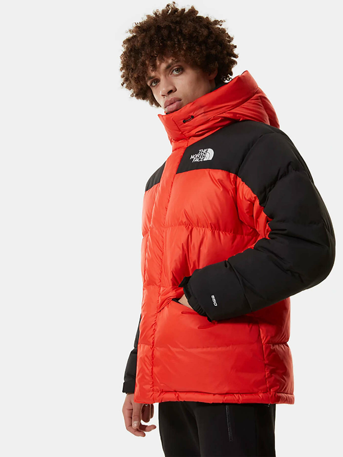 Зимняя куртка The North Face Himalayan модель NF0A4QYXR151 Фото
