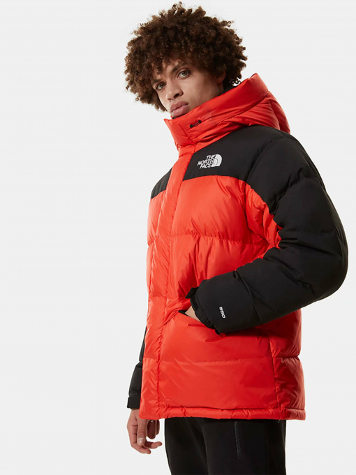 Зимняя куртка The North Face Himalayan модель NF0A4QYXR151 Фото
