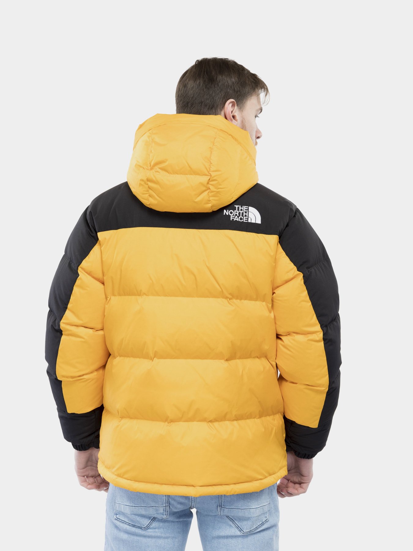 Куртка The North Face Himalayan модель NF0A4QYX56P1 Фото