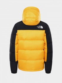 Куртка The North Face Himalayan модель NF0A4QYX56P1 Фото