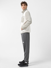 Штаны спортивные The North Face NSE модель NF0A4SVQDYY1 Фото