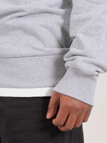 Світшот The North Face Red Box модель NF0A4SZ9DYX1 Фото