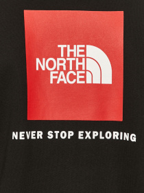 Світшот The North Face Raglan Redbox модель NF0A4SZ9KX91 Фото