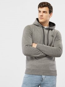 Худі The North Face Seasonal Drew Peak модель NF0A2TUVGVD1 Фото