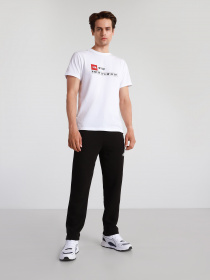 Штаны спортивные The North Face Standard модель NF0A4M7LJK31 Фото