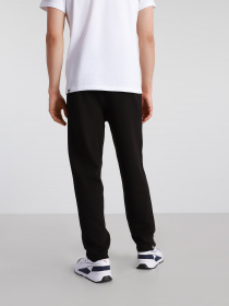 Штаны спортивные The North Face Standard модель NF0A4M7LJK31 Фото